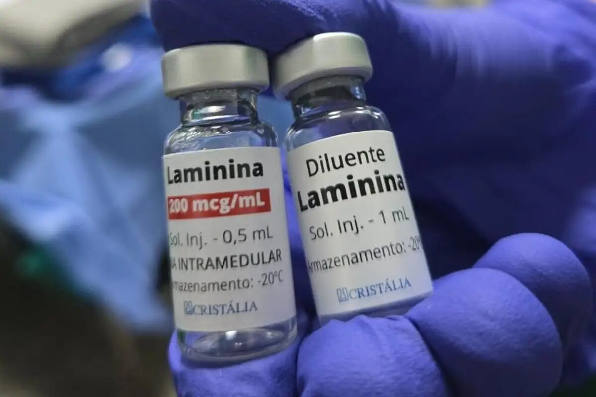 Como o Paraná se tornou líder no uso da polilaminina no Brasil?