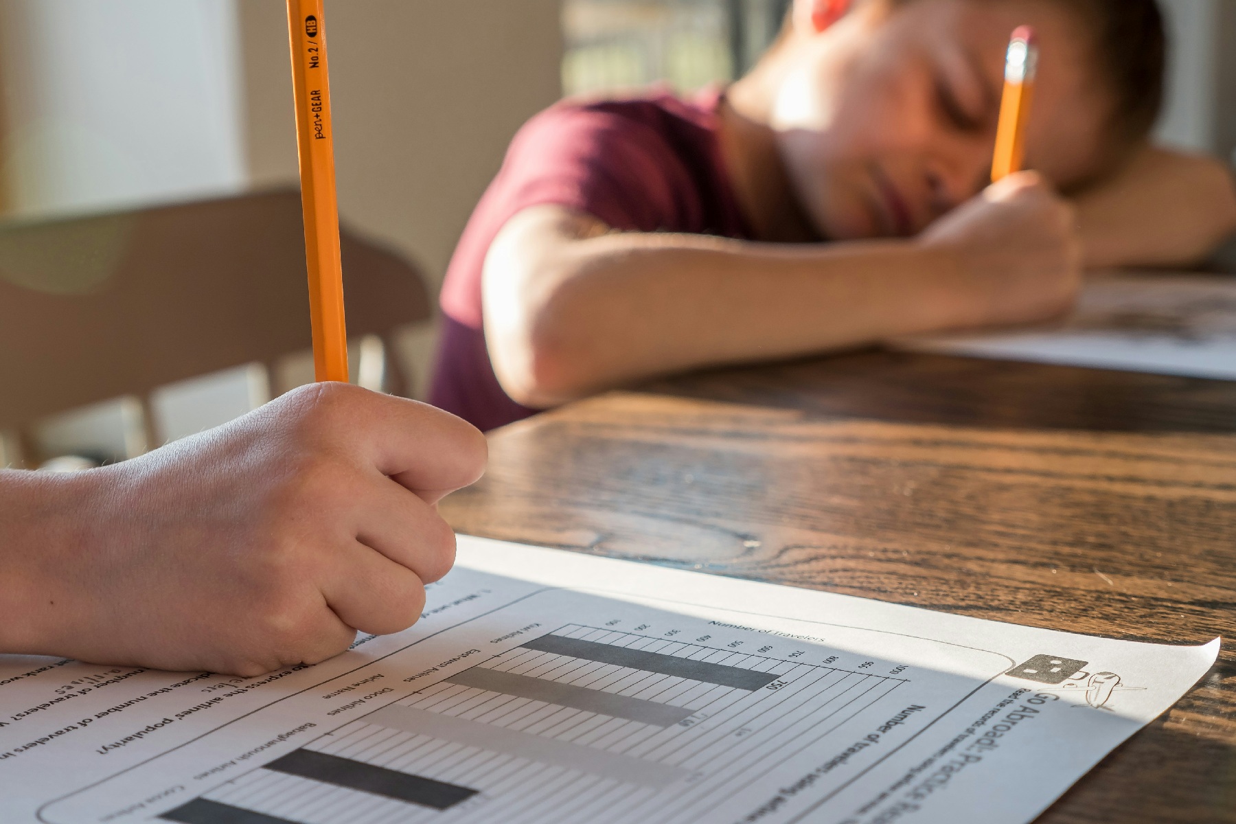Por que a educação conservadora está dividida entre a tradição e a ciência?