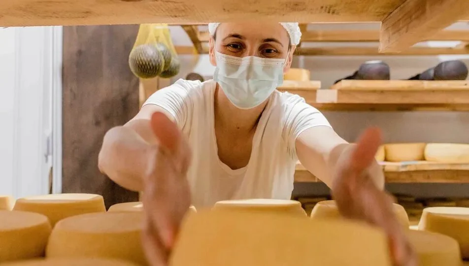 Produção de queijos ajuda a sustentar o leite no Paraná.