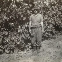 Meu pai, ao lado de um cafeeiro que precisou ser arrancado depois da Geada Negra de 1975. Uma imagem que resume a dor daquela perda — e a coragem de uma geração que encontrou forças para recomeçar. Imagem referente a matéria