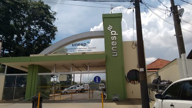 Unesp cria cotas raciais para professor mais radicais do país com um terço de vagas carimbadas