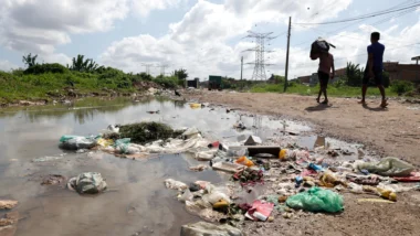 Pará é o estado que mais recebe Bolsa Família