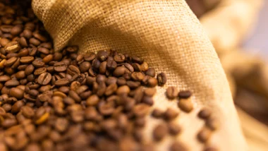 Produção de café