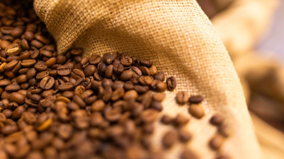 Como o calor está transformando o jeito de produzir café no Brasil