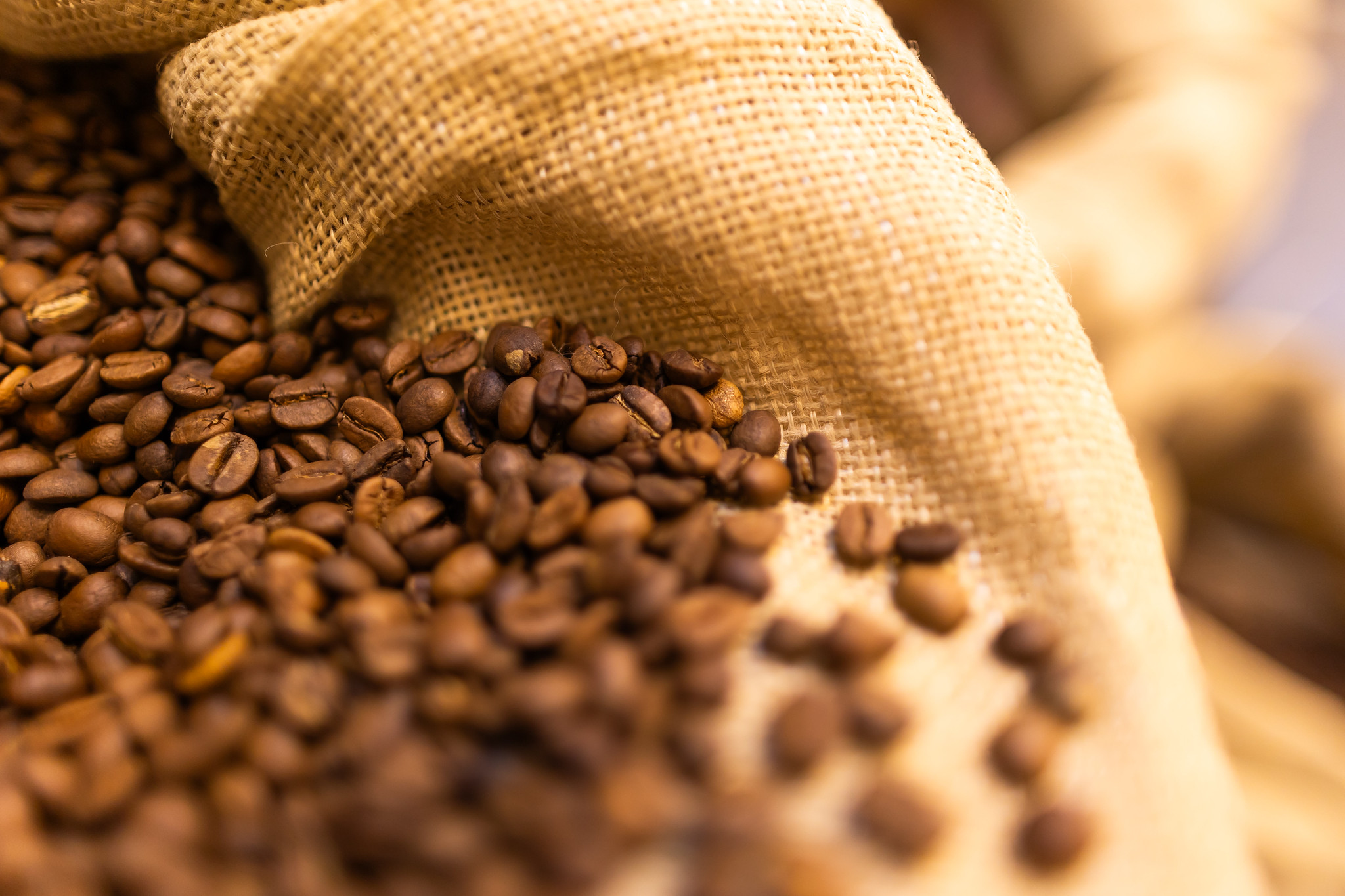 Como o calor está transformando o jeito de produzir café no Brasil