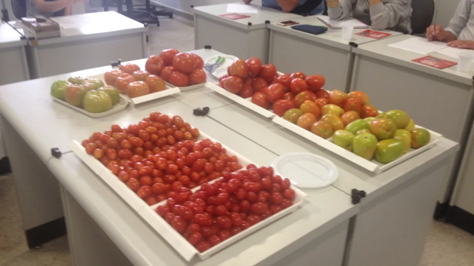 Primeira edição do concurso "Melhor tomate de mesa do Brasil" ocorreu no ano de 2015.
