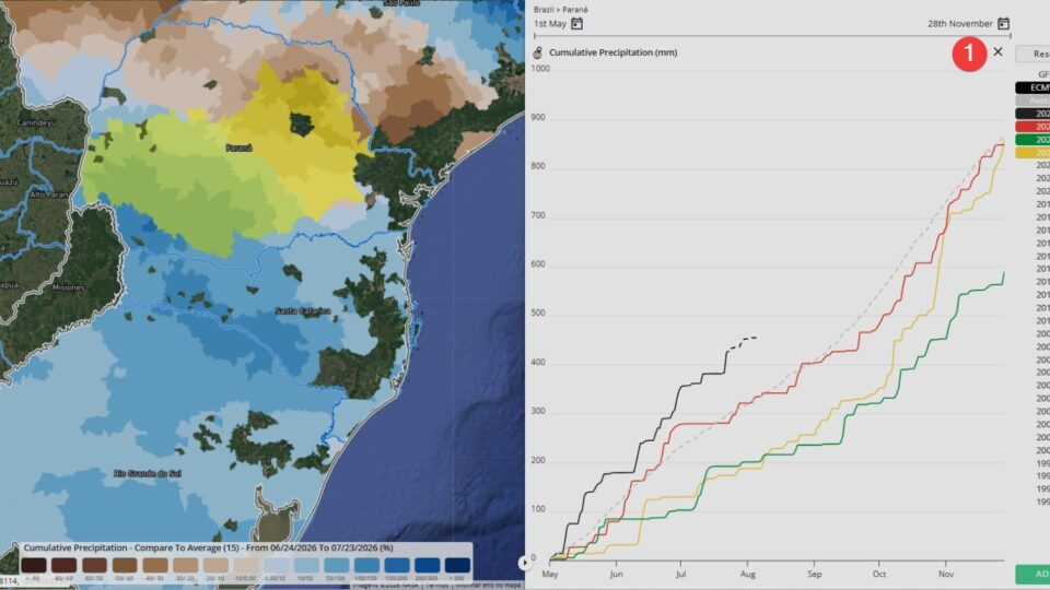 Maior volume de chuva da década no Rio Grande do Sul eleva risco de doenças no trigo, aponta EarthDaily