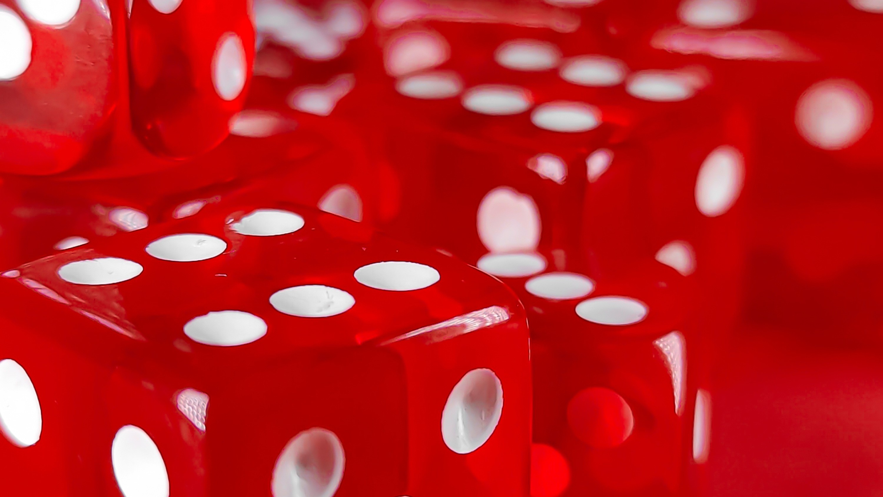 As bets e a financeirização da vida