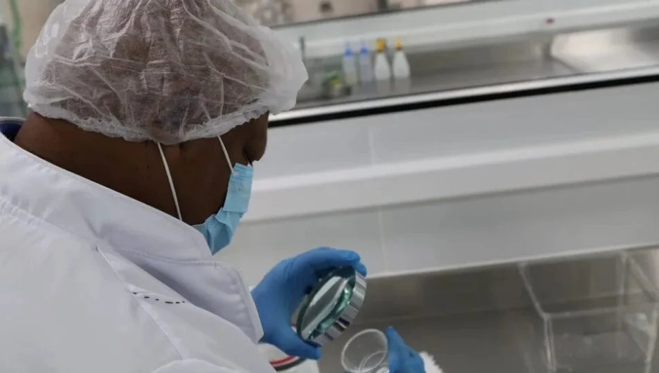 Curitiba inicia soltura de “wolbitos” contra a dengue.