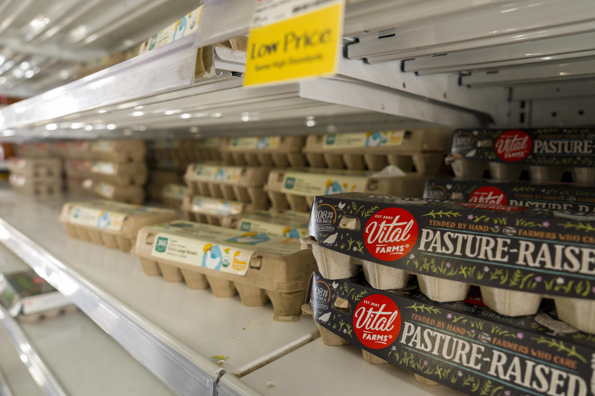 Pesquisadores concluem que consumo elevado de proteínas não é saudável. Veja orientação