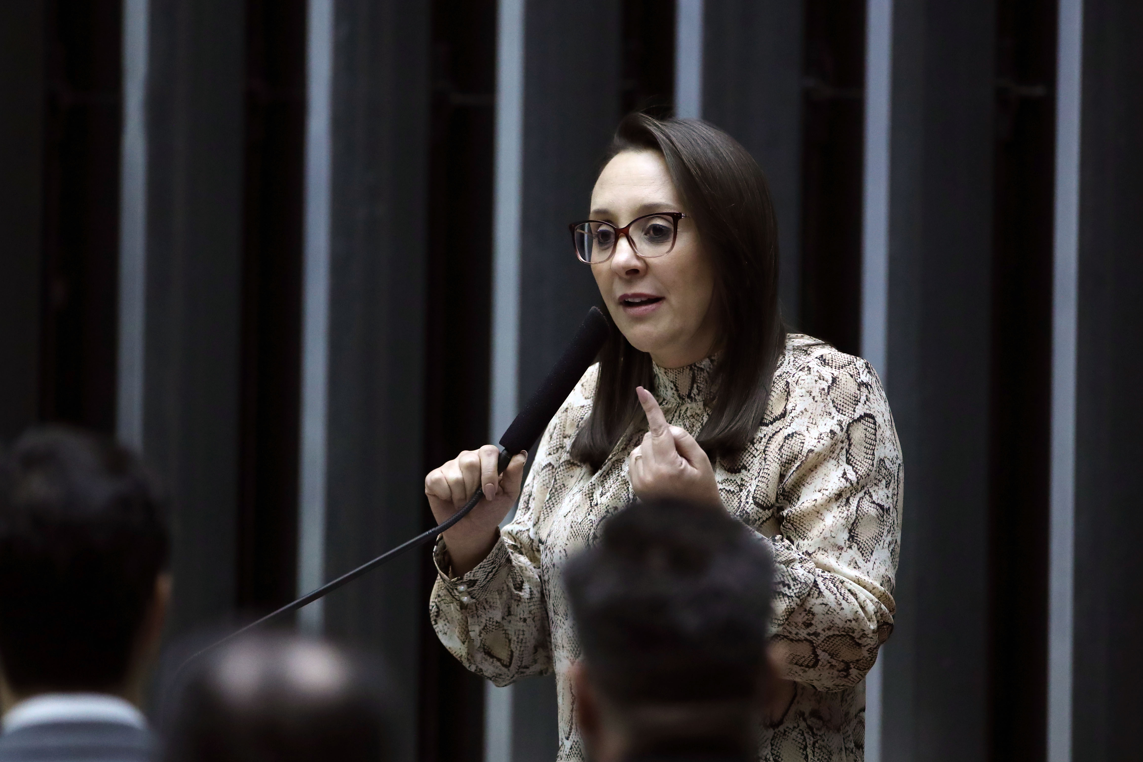 Renata Abreu é cotada como vice de Flávio Bolsonaro em chapa presidencial