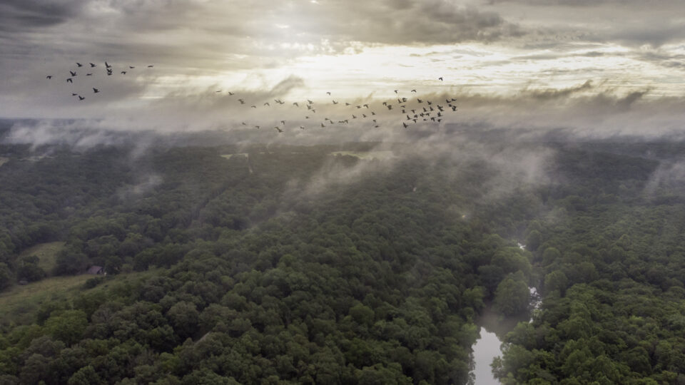 Geoglifos na Amazônia revelam civilização que pode ter reunido até 3 milhões de habitantes