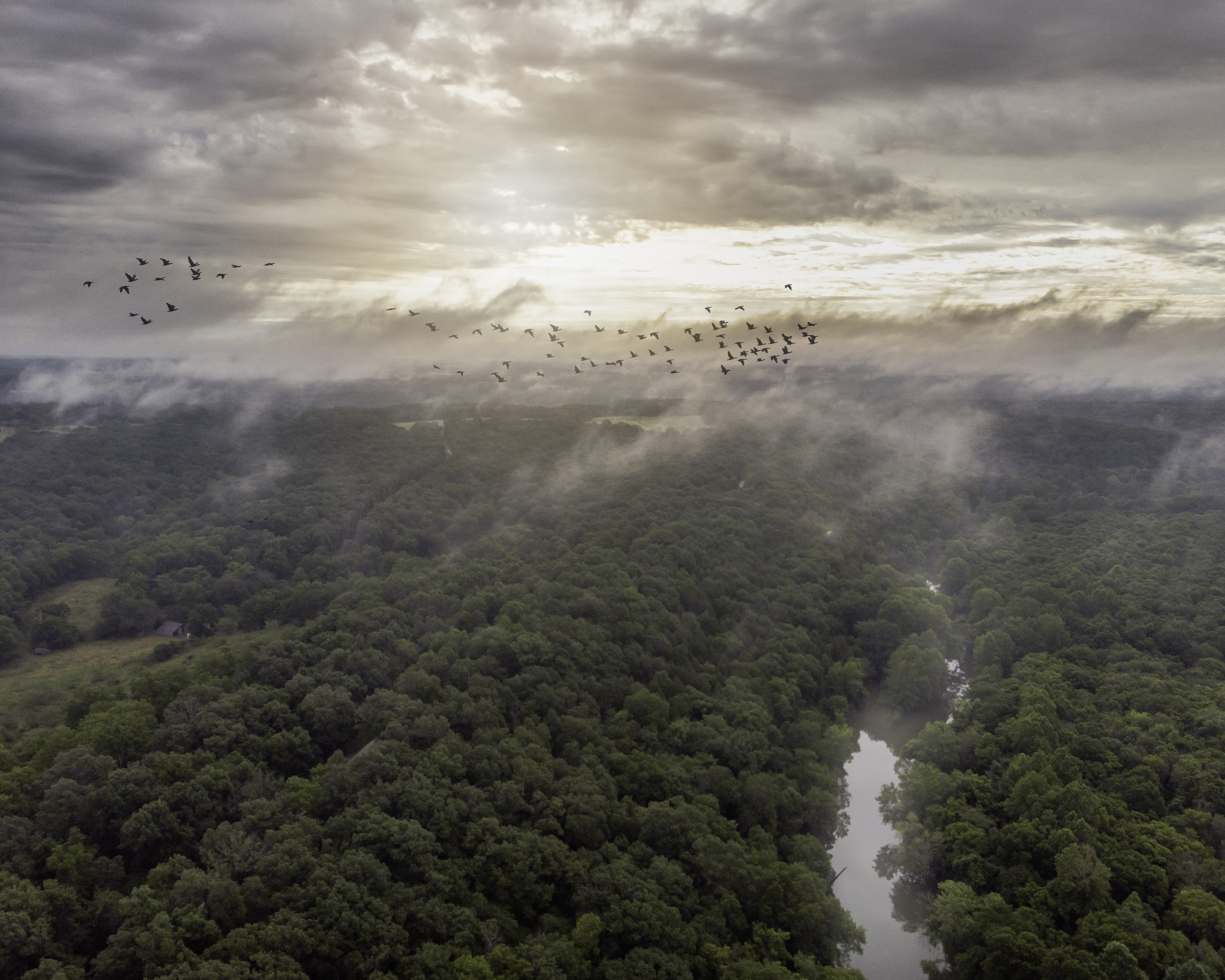 Geoglifos na Amazônia revelam civilização que pode ter reunido até 3 milhões de habitantes