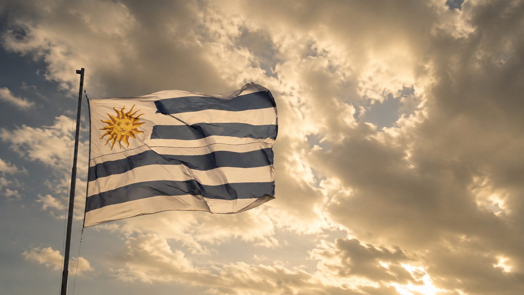 Empresários paranaenses participarão de missão empresarial ao Uruguai para conhecer iniciativas de inovação e empreendedorismo.