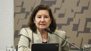 Maria Luiza Ribeiro Viotti