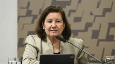 Maria Luiza Ribeiro Viotti
