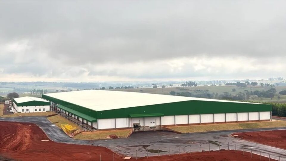 Pluma injeta R$ 120 milhões e eleva produção para 125 milhões de ovos férteis por mês