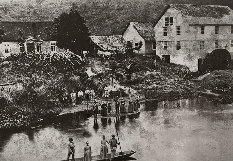 Nos ano 1880 são criadas as primeiras indústrias de Santa Catarina pelos imigrantes alemães e italianos