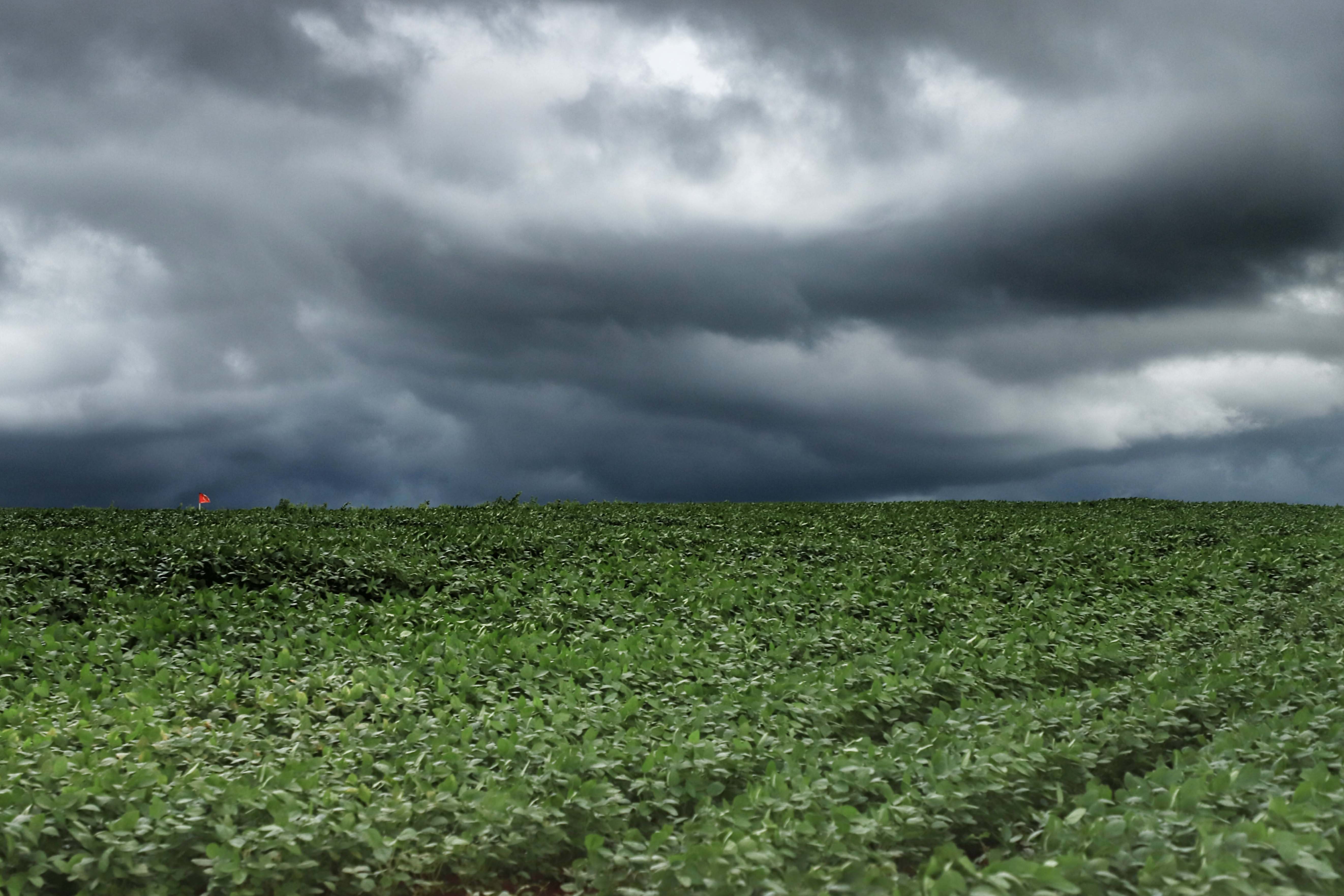 Inmet emite alerta de vendavais para 11 estados; veja onde há riscos e como se proteger