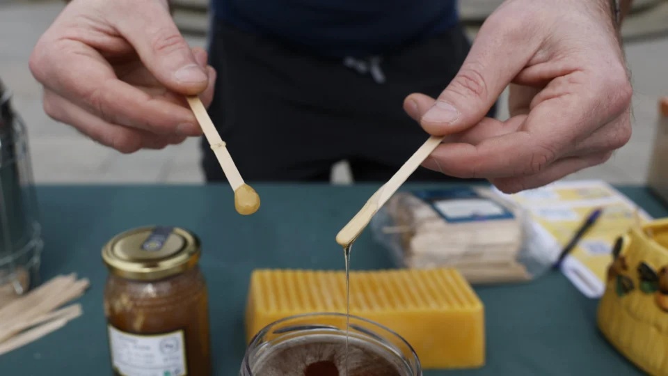 Açúcares naturais, provenientes de frutas, mel (foto) ou outros alimentos doces, têm sido fundamentais para o crescimento e a evolução do cérebro humano
