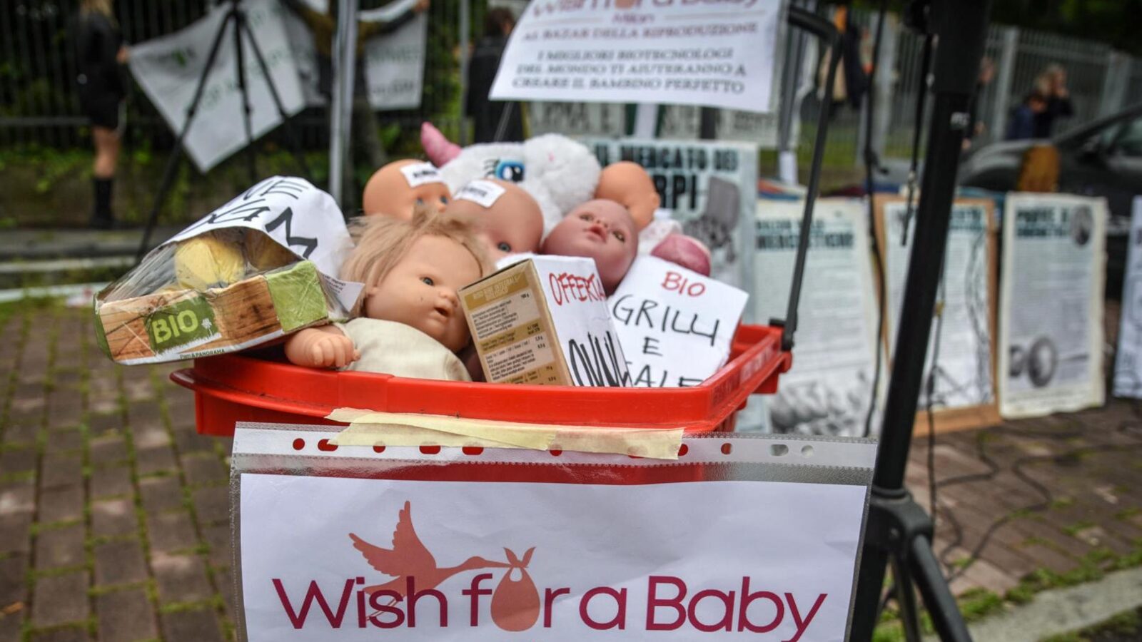 Casal contrata barriga de aluguel, muda de ideia e exige aborto