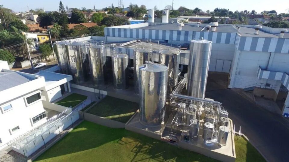 Gigante mineira do queijo chega ao Paraná com fábrica e postos de captação de leite