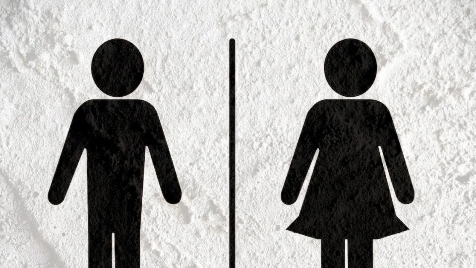 Justiça condena shopping após segurança orientar trans a usar banheiro masculino em MG