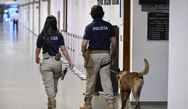 Veterinária é atacada por cachorro do Senado: como funciona o Serviço de Cinotecnia do Legislativo