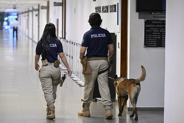 Cães farejadores são utilizados por Policiais Legislativos Federais durante ações de segurança no Senado.