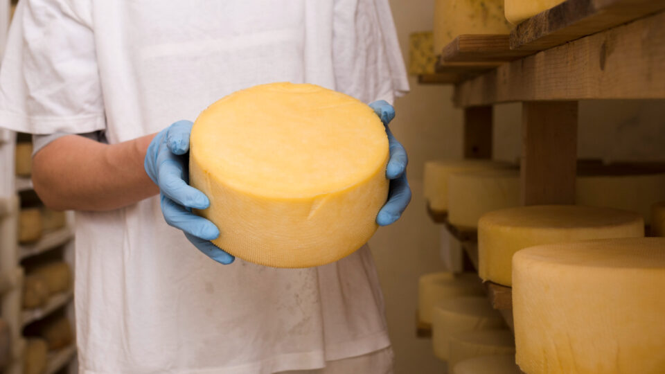 Santa Catarina cria selo para venda de produtos de pequenas agroindústrias