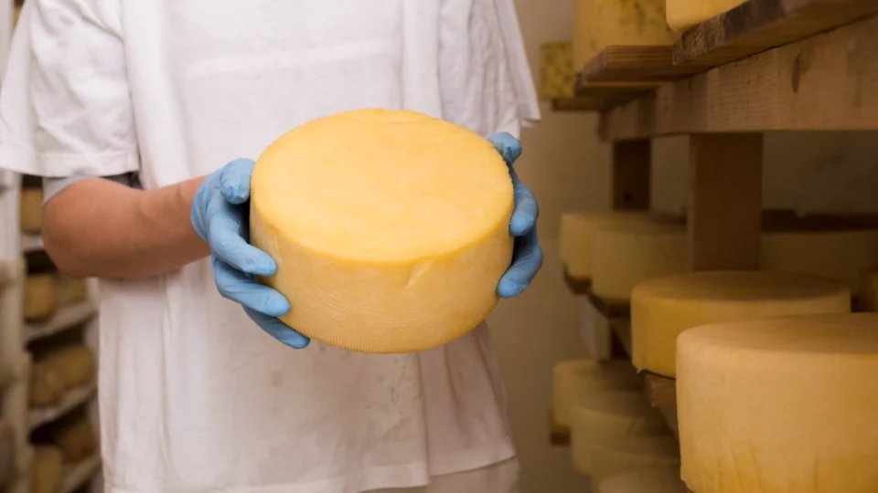 Novo selo permitirá que pequenas agroindústrias de municípios habilitados comercializem produtos de origem animal em todo o território catarinense