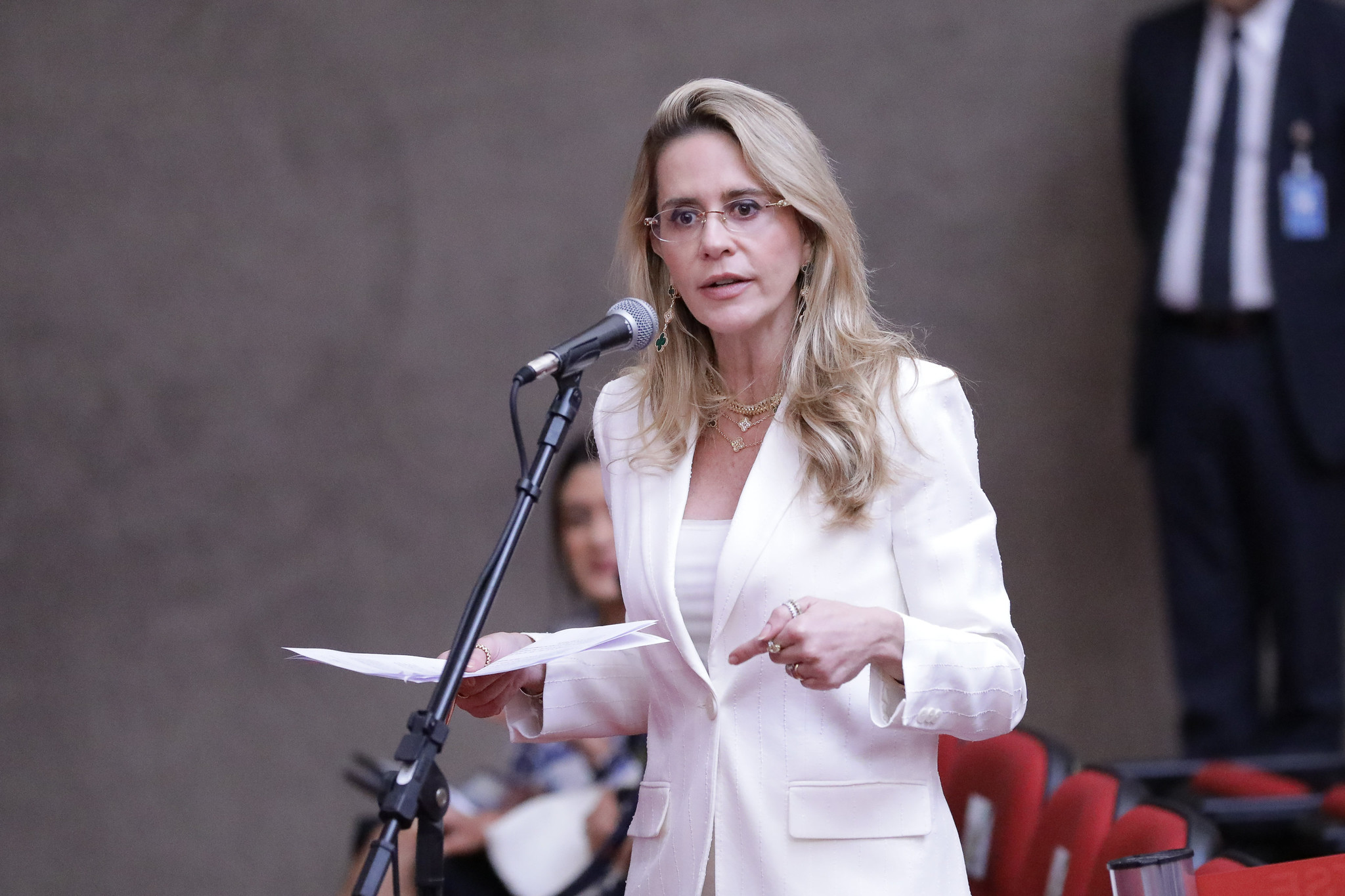 Maria Cláudia Bucchianeri Pinheiro , advogada do PL, na audiência pública para definir plano de mídia das eleições de 2026.