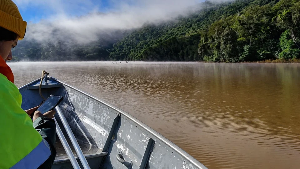 A coleta em campo permite reunir informações precisas sobre cada área e dar mais segurança às análises e decisões ambientais.