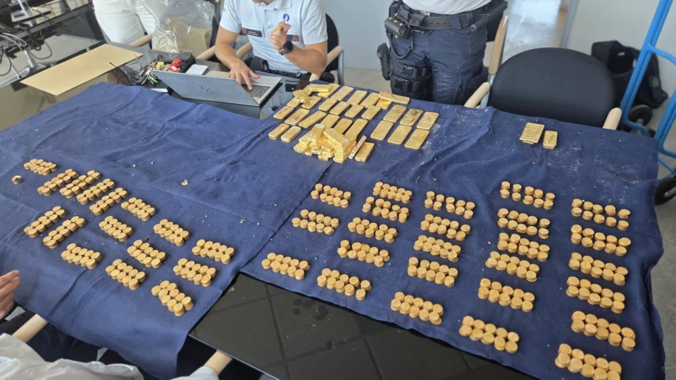 A Polícia de Dendermonde registrou o tesouro encontrado pelos operários, que agora está sob custódia das autoridades enquanto a origem e os possíveis proprietários são investigados.