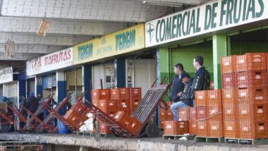 crise alimentar