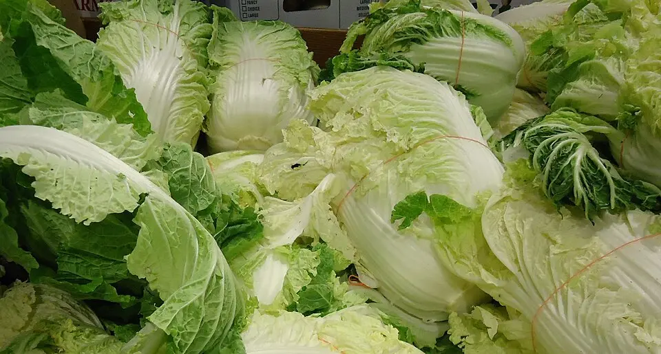 Caso de uso de formaldeído em repolhos reacendeu o debate sobre segurança alimentar e levou a China a reforçar a fiscalização de vegetais perecíveis.