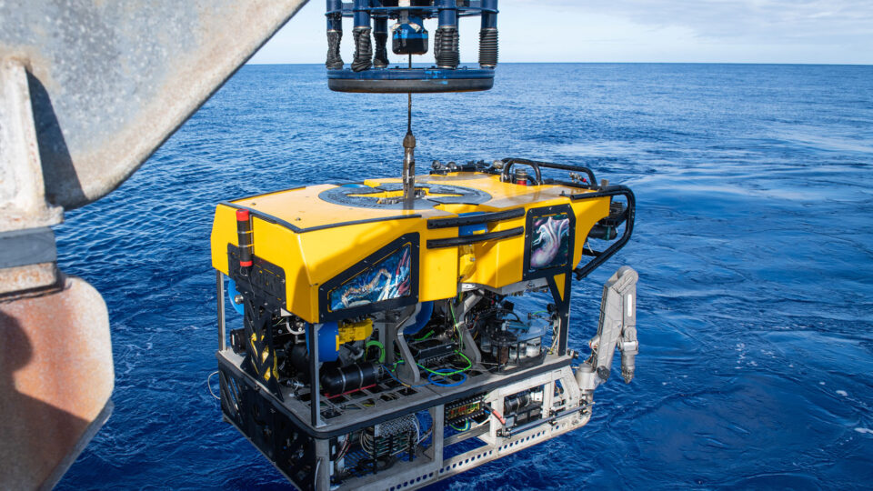 Cientistas de SC cruzam o Atlântico para explorar área desconhecida do fundo do mar