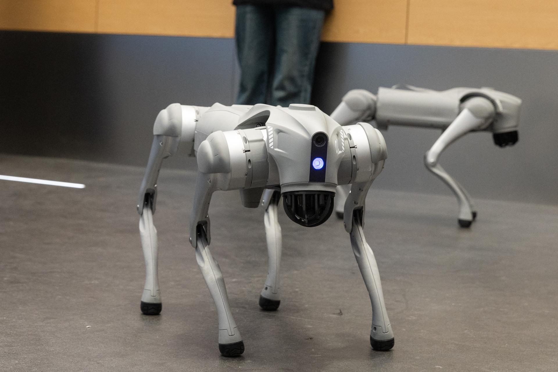 ICE planeja investir até US$ 2 milhões na compra de cães-robôs para atuar em operações de imigração consideradas de alto risco.