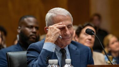 anthony fauci diario