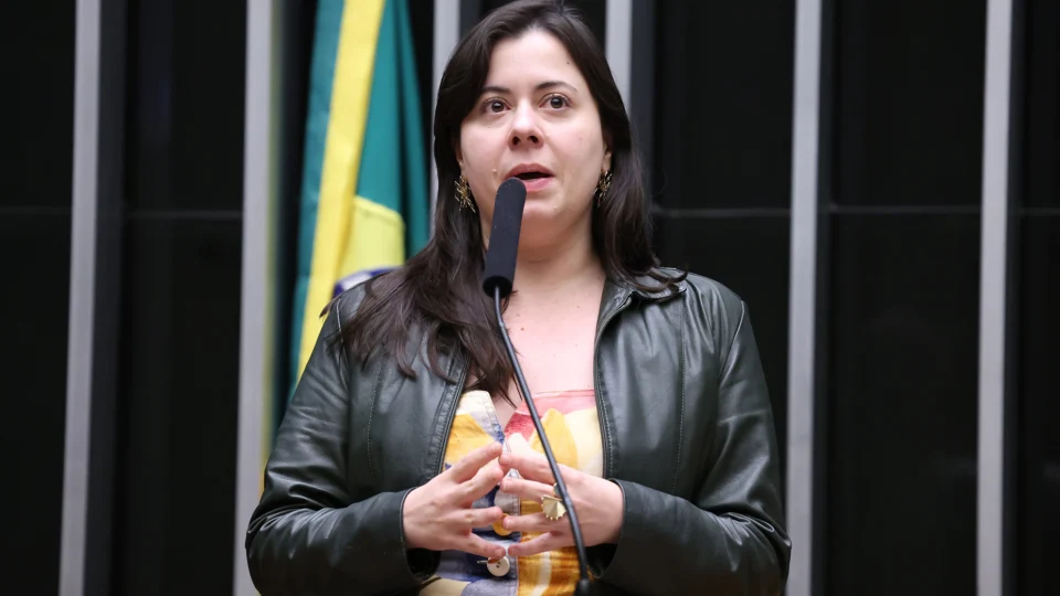 Deputada federal alega que informou perfis, mas que registro público não menciona todas as contas.