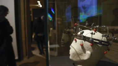 Imagem ilustrativa de uma exposição sobre cérebros: nova pesquisa descobriu como cada respiração tem um impacto único na atividade neuronal.