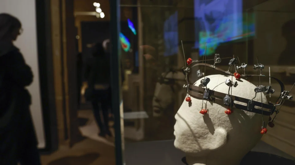 Imagem ilustrativa de uma exposição sobre cérebros: nova pesquisa descobriu como cada respiração tem um impacto único na atividade neuronal.