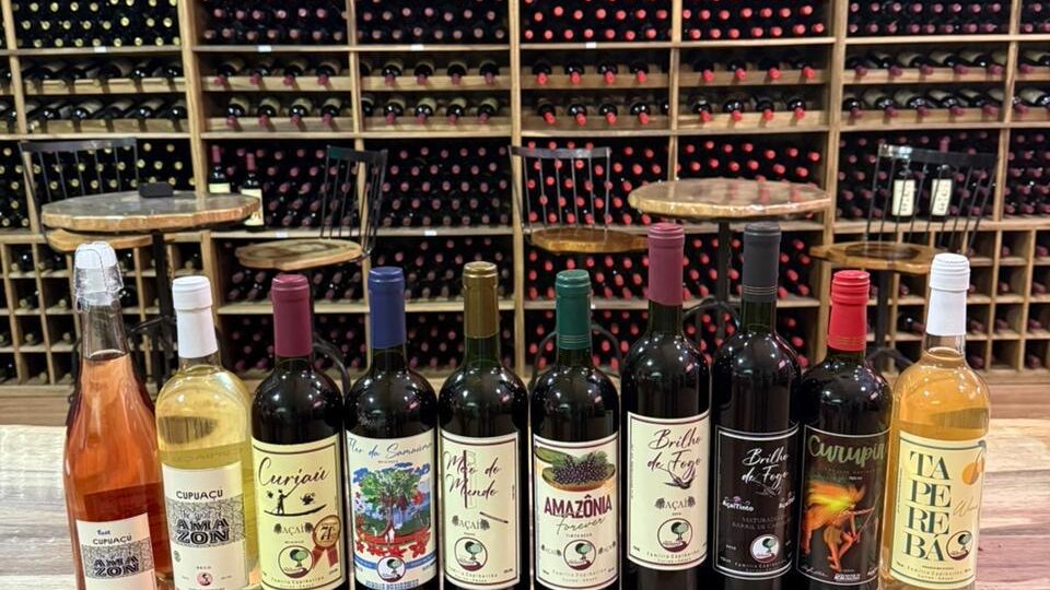 “Vinho de açaí” ganha mercado e leva sabor nacional a novos consumidores