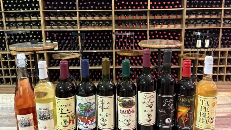 Apesar de ser chamado de “vinho de açaí”, a bebida é classificada como fermentado de fruta. Parte dessa aproximação com o vinho está na composição da bebida.