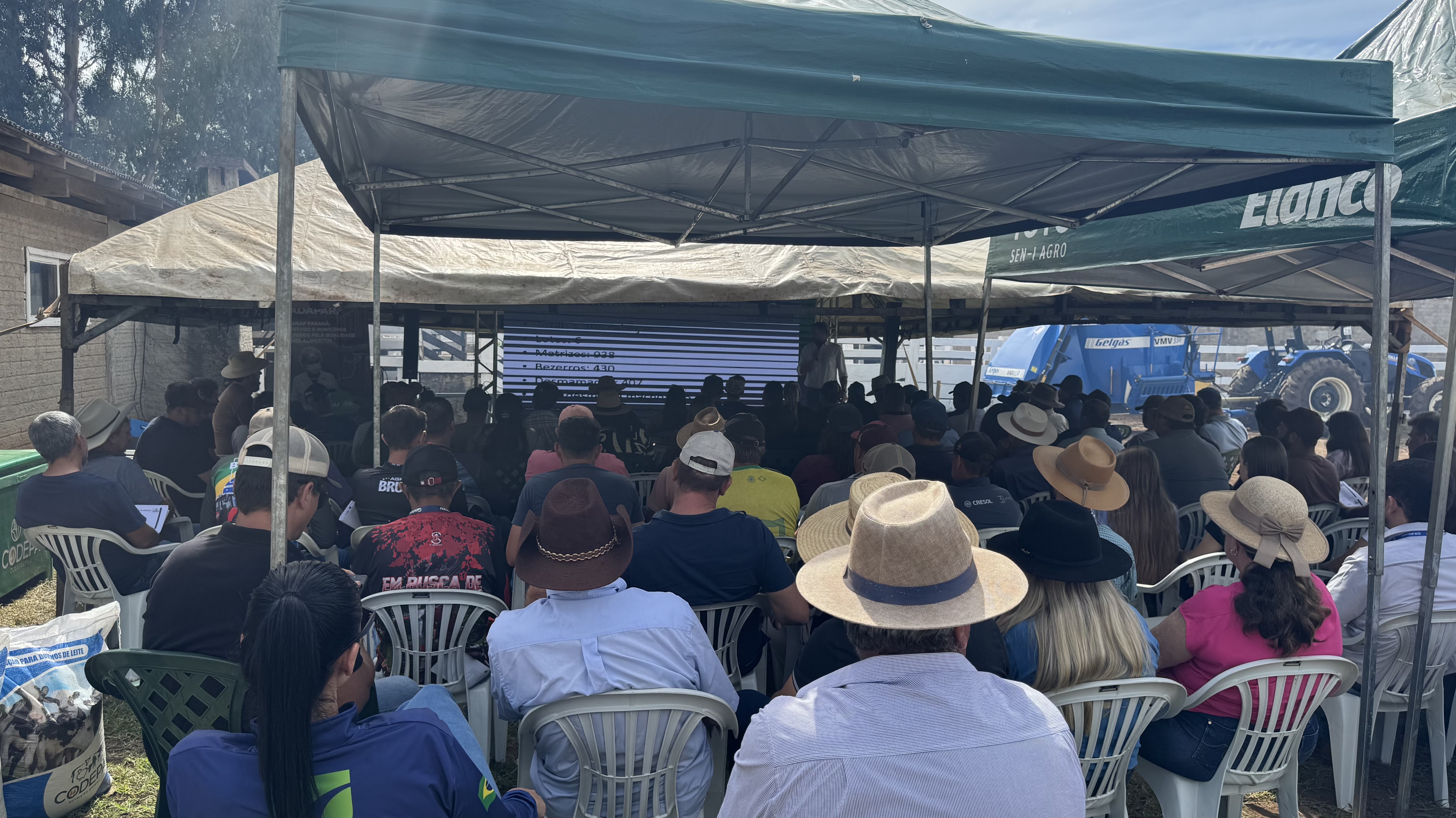 Cooperados da Codepa se reúnem em dia de campo em Candói, no centro-sul do Paraná