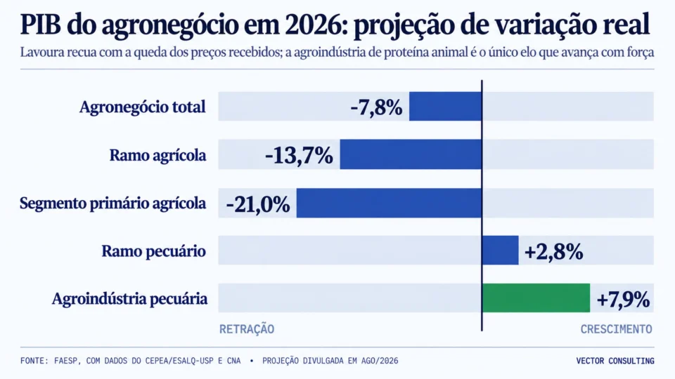 Projeção de variação real do PIB do agronegócio em 2026, por ramo e segmento. Fonte: Faesp, com dados do Cepea/Esalq-USP e CNA (ago/2026).