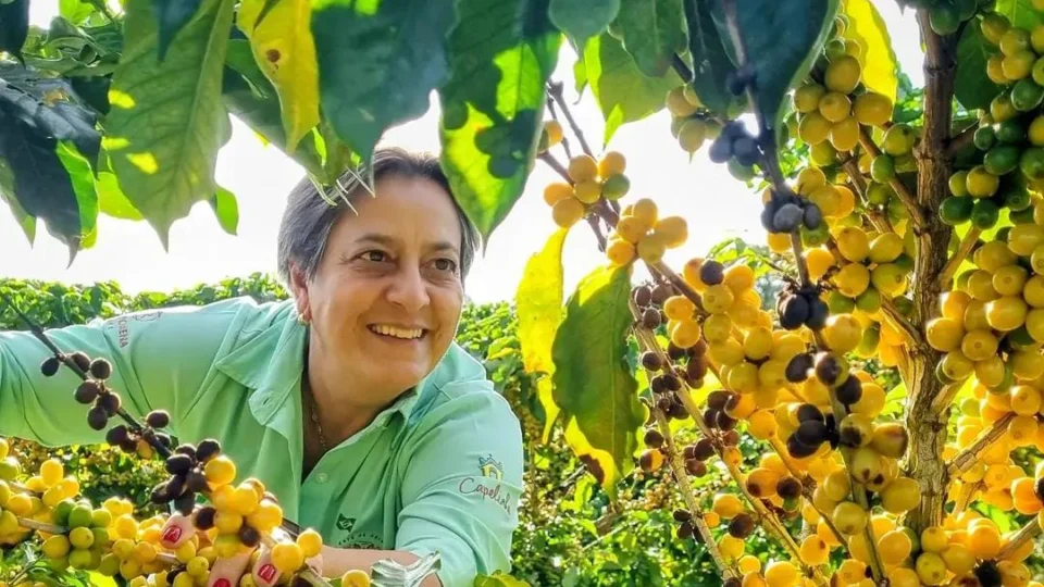 Produtora de café Juliana Paulino inspeciona qualidade dos frutos em lavoura