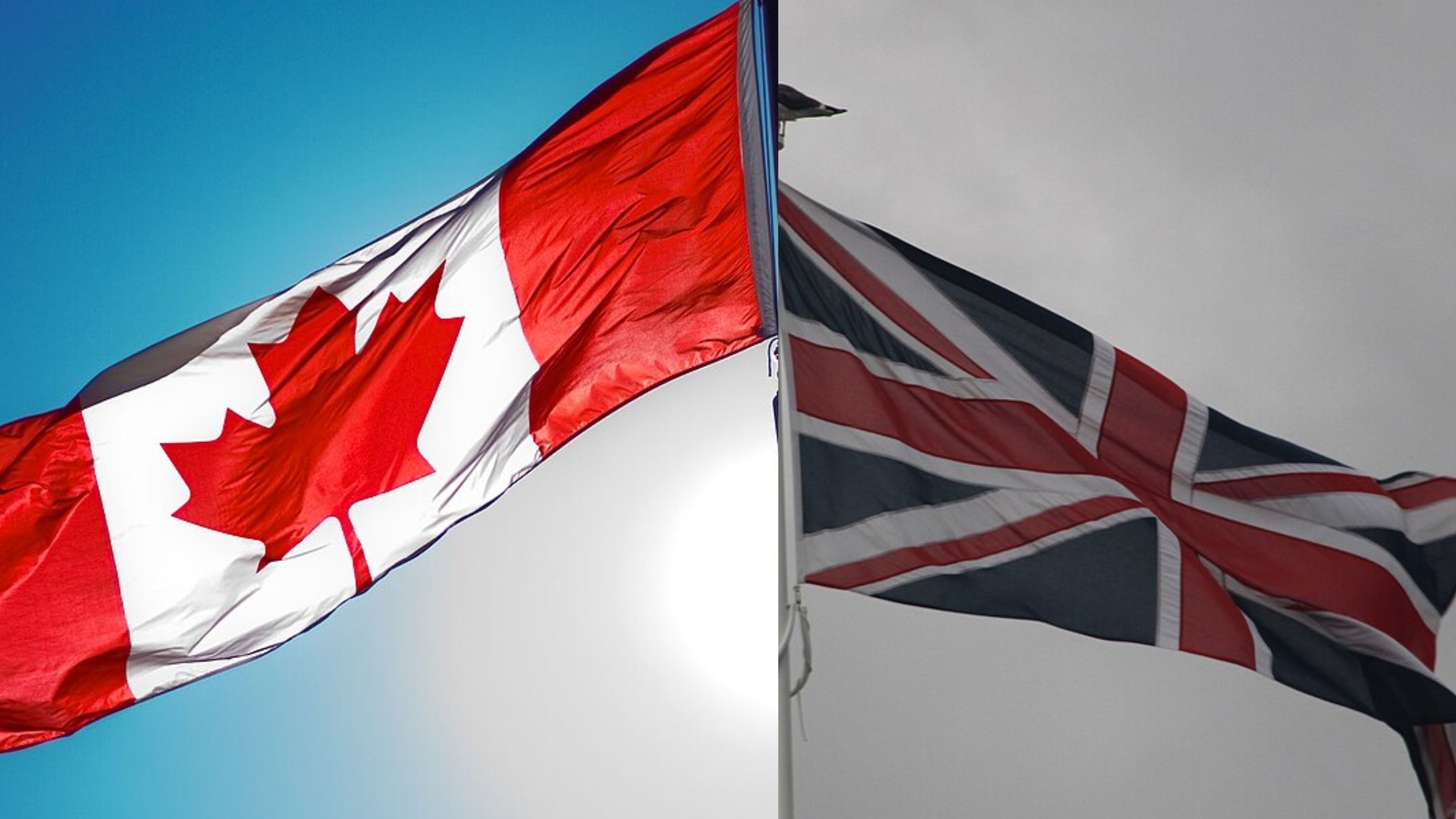 Após EUA e Austrália, Reino Unido e Canadá emitem alertas sobre o Brasil às vésperas das eleições