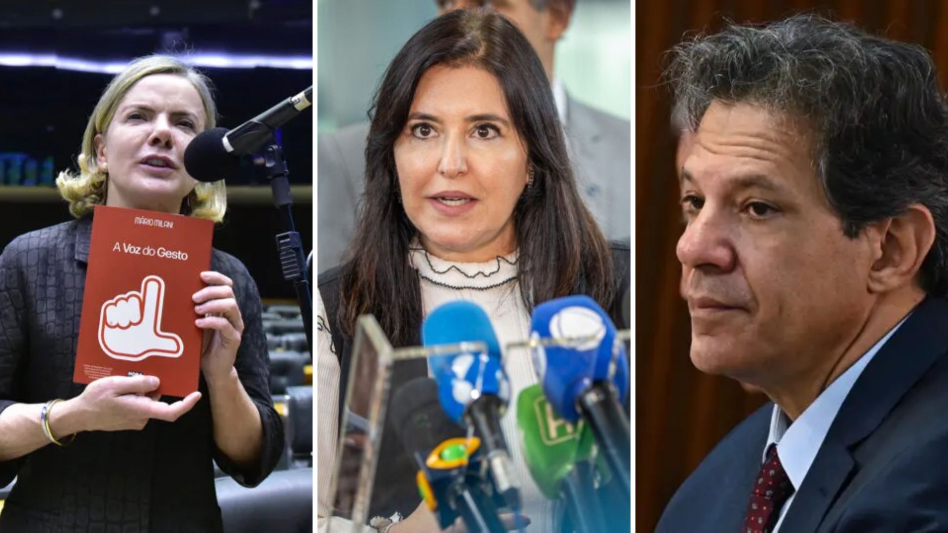 Gleisi Hoffmann e Simone Tebet perderam disputas ao Senado. Já Fernando Haddad foi derrotado na corrida pelo governo de São Paulo