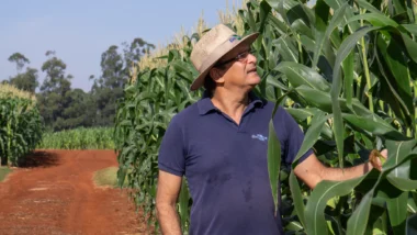 Marco Antonio Nogueira, pesquisador da Embrapa Soja, participou das pesquisas que deram origem ao primeiro inoculante biológico da Coopavel